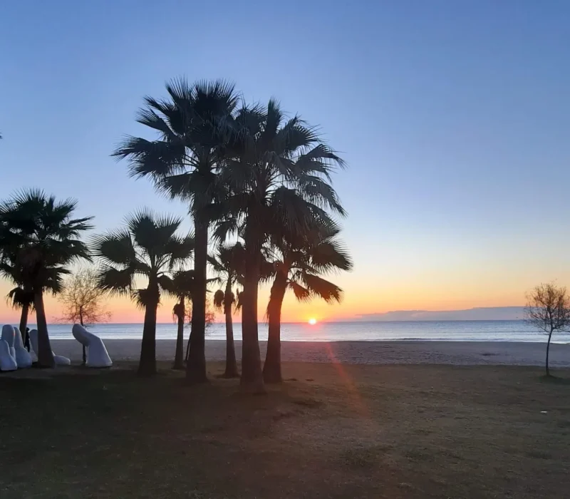 paisaje puesta de sol en la playa
